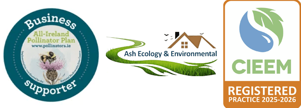 All-Ireland Pollinator Plan Business Supporter, Ash Ecology, CIEEM Registered Practice 2025-2026